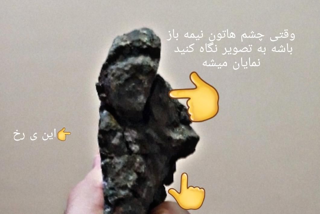 مجسمه شجر عتیقه|کلکسیون اشیاء عتیقه|اهواز, شریعتی جنوبی|دیوار