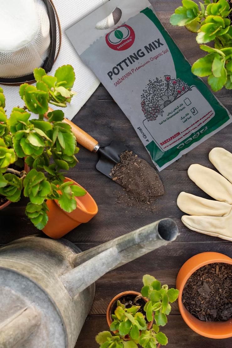 خاک برگ|گل و گیاه طبیعی|تهران, شهرک رضویه|دیوار