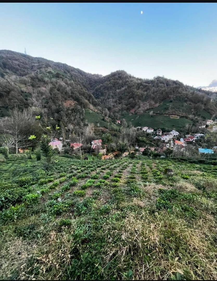 زمین ۱۰۰۰ متری با پروانه ساخت|فروش زمین و ملک کلنگی|لاهیجان, لیل|دیوار