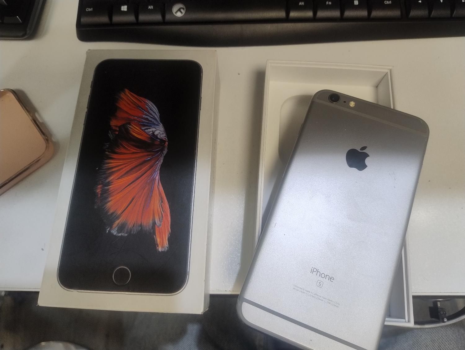 6s اپل آی دی پریده.فقط وای فای|موبایل|تهران, اسکندری|دیوار