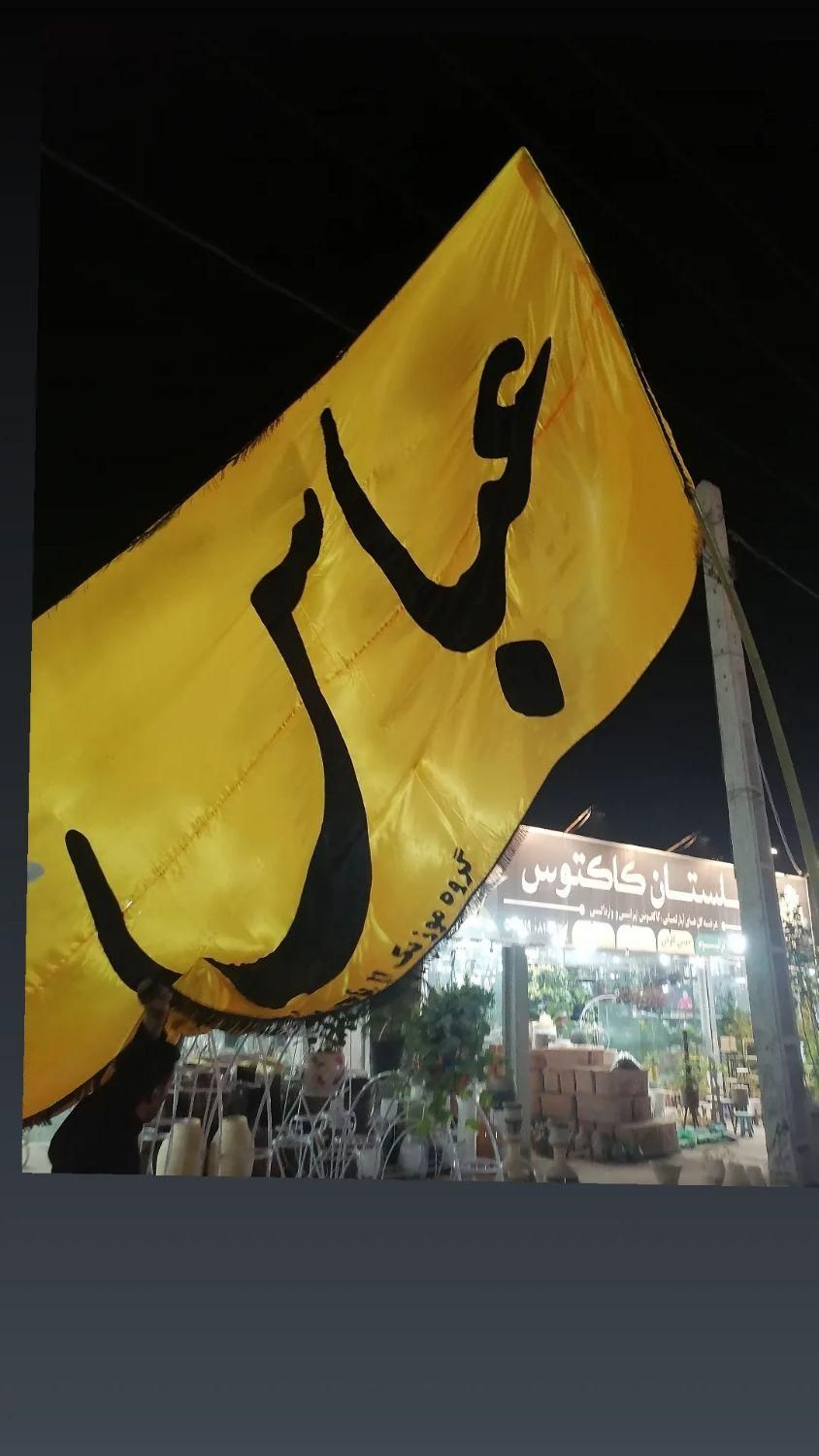 چوب بامبو|مجسمه، تندیس، ماکت|یزد, |دیوار