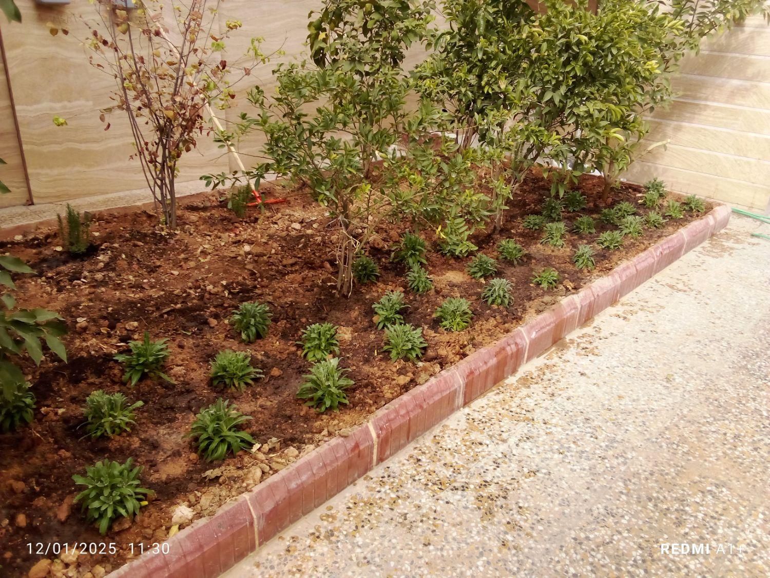 خدمات باغبانی درخت کاری سم پاشی گل کاری|خدمات باغبانی و درختکاری|شیراز, قصرالدشت|دیوار