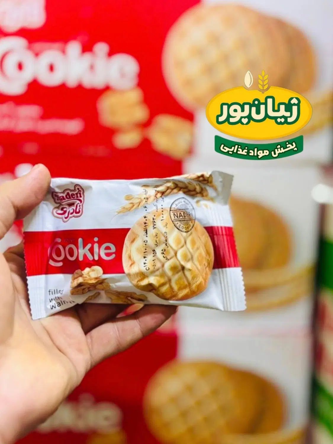 انواع خوراکی مدرسه باقیمت باورنکردی از پخش ژیانپور|خوردنی و آشامیدنی|شوشتر, |دیوار