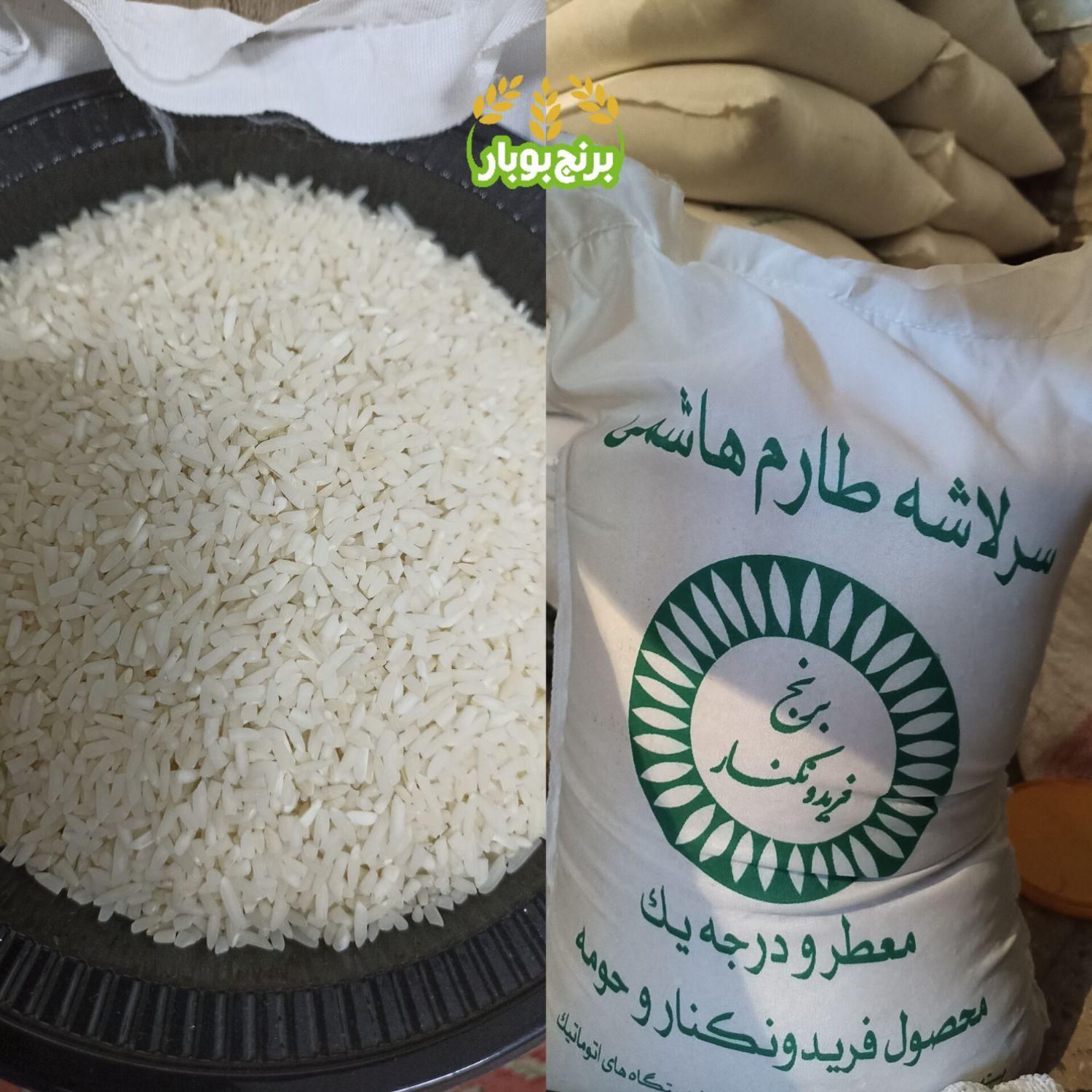 سرلاشه برنج طارم هاشمی کشت اول فریدونکنار امساله|خوردنی و آشامیدنی|اصفهان, پروین|دیوار