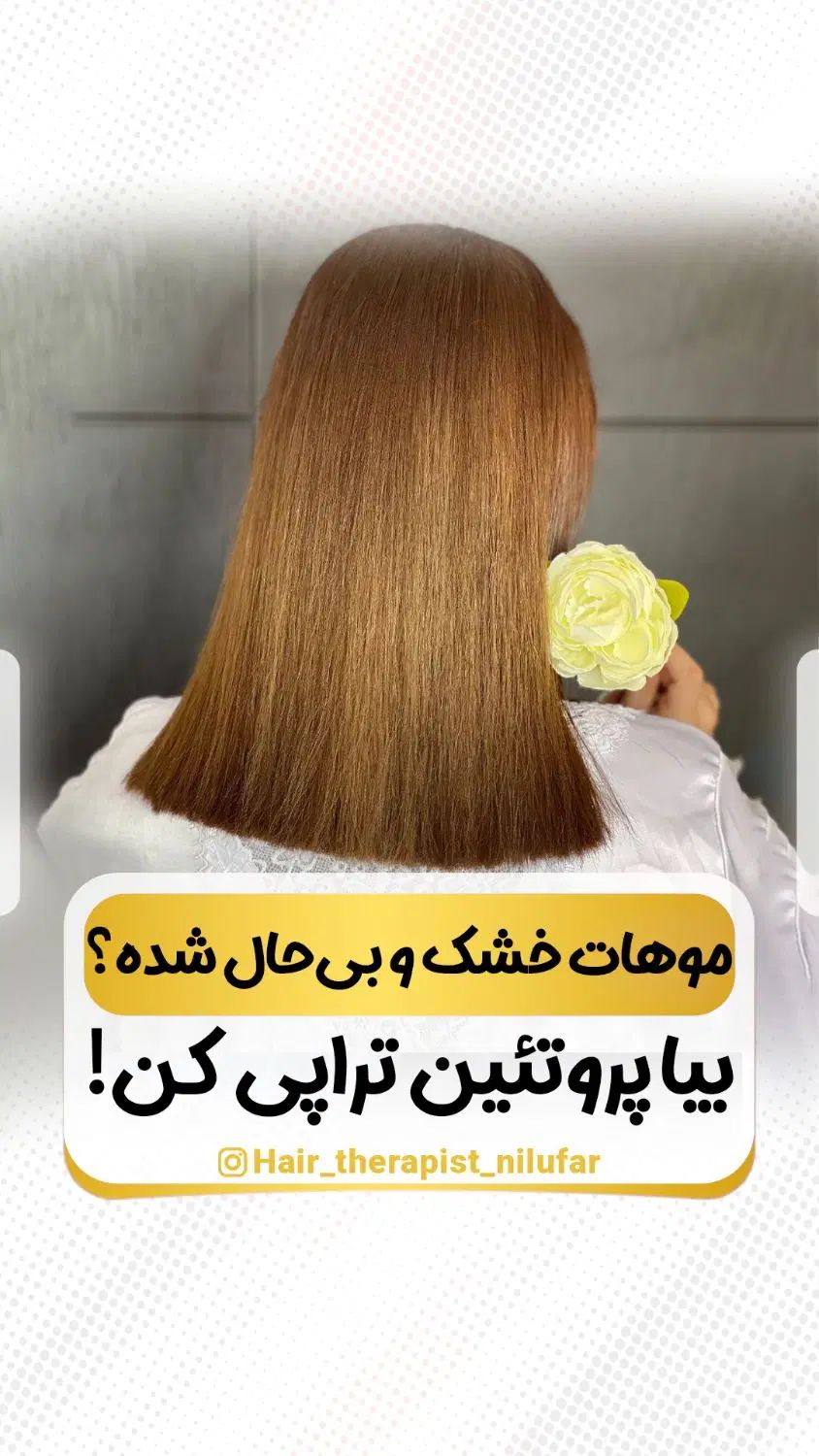 مدل هزینه مواد کراتین و پروتئین|خدمات آرایشگری و زیبایی|رشت, گلسار|دیوار