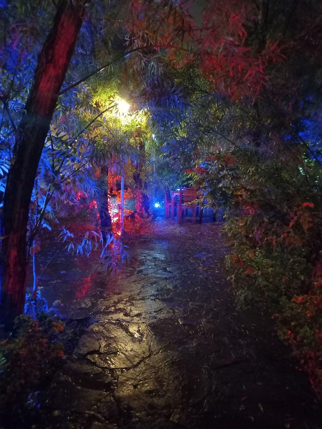 زمین ( مجتمع کشاورزی عصر کمیل )|فروش دفتر صنعتی، کشاورزی، تجاری|خاوران, |دیوار