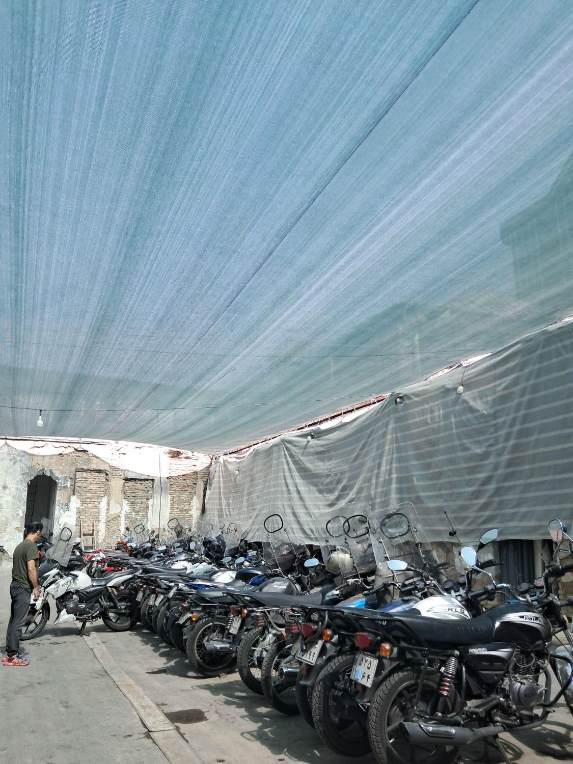 توری مدرسه و مجموع های فرهنگی ورزشی|خدمات باغبانی و درختکاری|تهران, بازار|دیوار