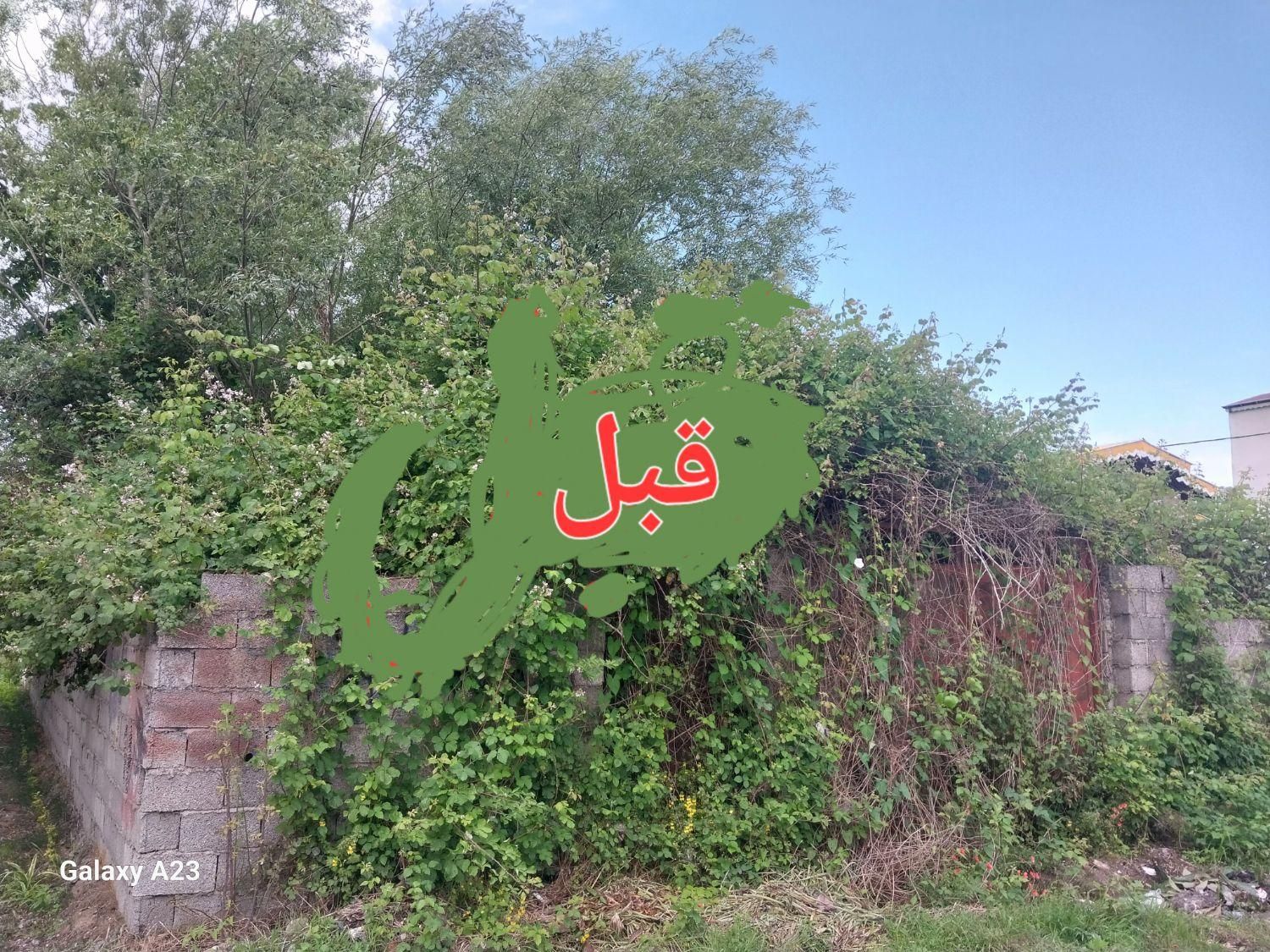 خدمات علف زنی بادستگاه علف زن در زیباکنار و رشت|خدمات باغبانی و درختکاری|رشت, گلسار|دیوار
