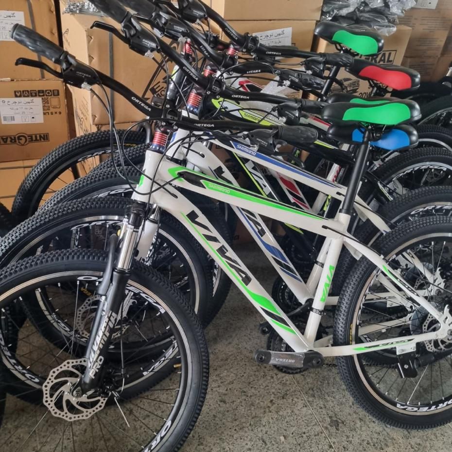 دوچرخه ویوا ولف ۲۴/۲۶|دوچرخه، اسکیت، اسکوتر|مشهد, گاز|دیوار