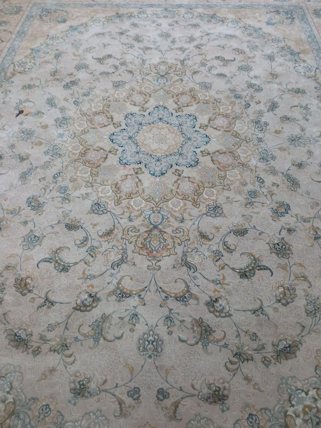 فرش قالی ۱۲متری گل برجسته جنس خوب پر گوشت|فرش|مشهد, رسالت|دیوار