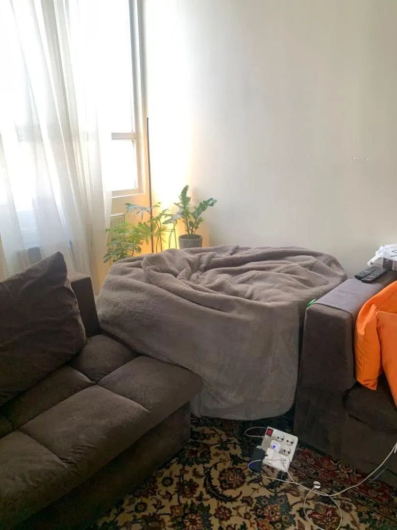 Been bag|مبلمان خانگی و میز عسلی|تهران, طرشت|دیوار