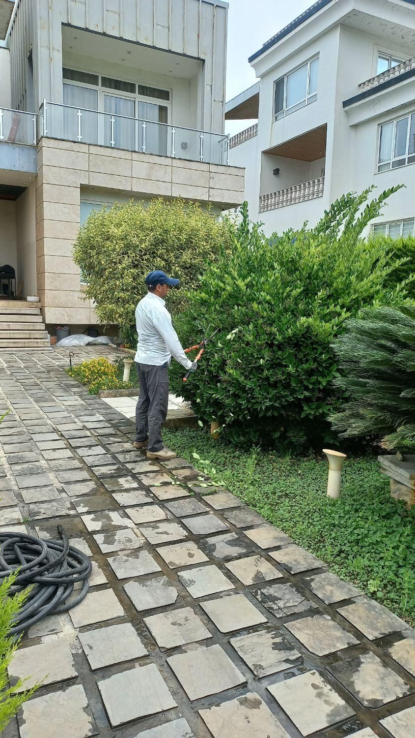 خدمات باغبانی فضای سبز|خدمات باغبانی و درختکاری|نوشهر, |دیوار