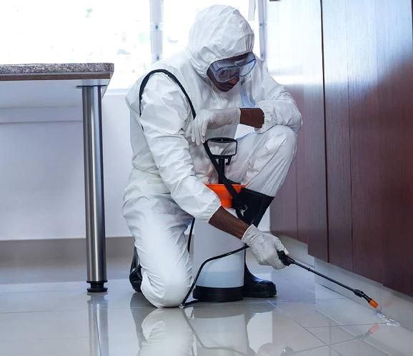 سمپاشی حشرات|خدمات نظافت|تهران, سهروردی|دیوار