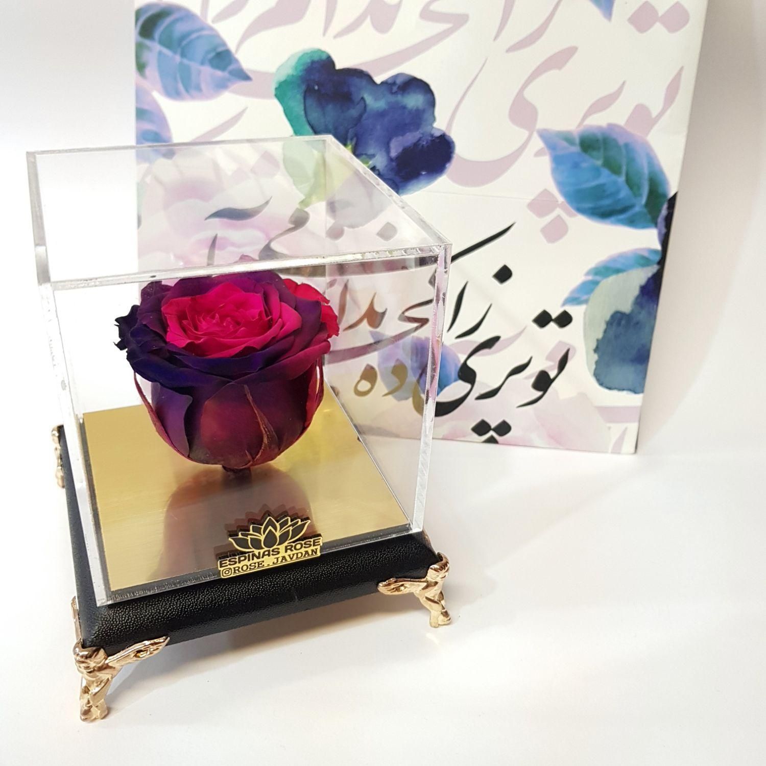 گل رز جاویدان درانواع رنگ ها ودیزاین دلخواه جاودان|گل و گیاه طبیعی|تهران, میدان ولیعصر|دیوار