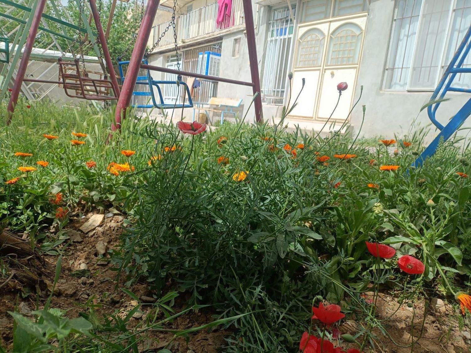 سوئیت شیک و تمییز|اجارهٔ کوتاه‌مدت آپارتمان و سوئیت|صحنه, |دیوار