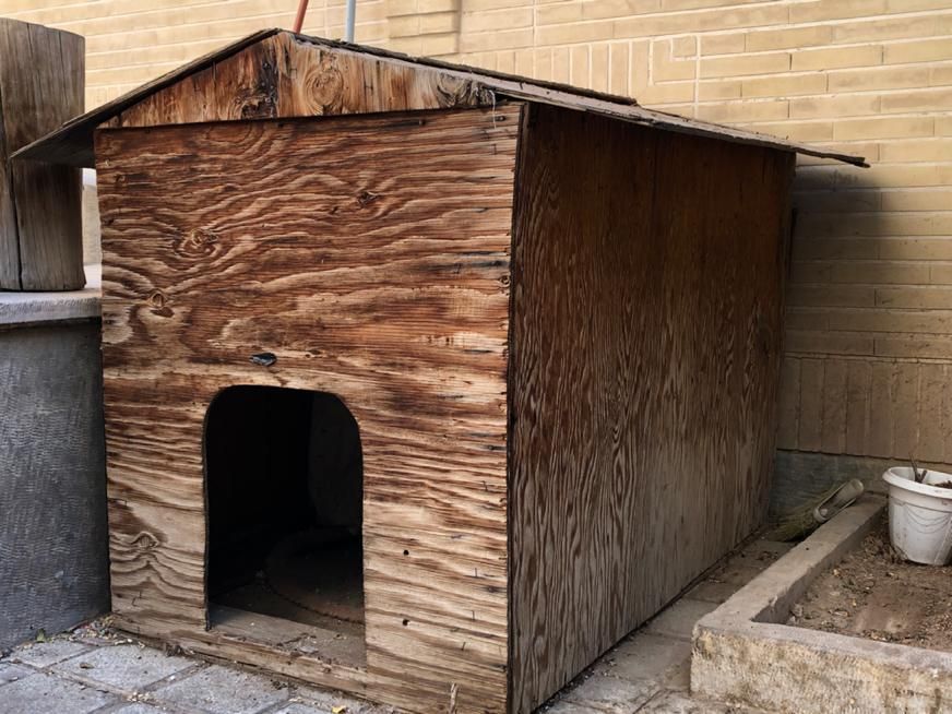 خانه خونه لانه لونه جای خواب سگ چوبی|لوازم جانبی حیوانات|اصفهان, باب الدشت|دیوار