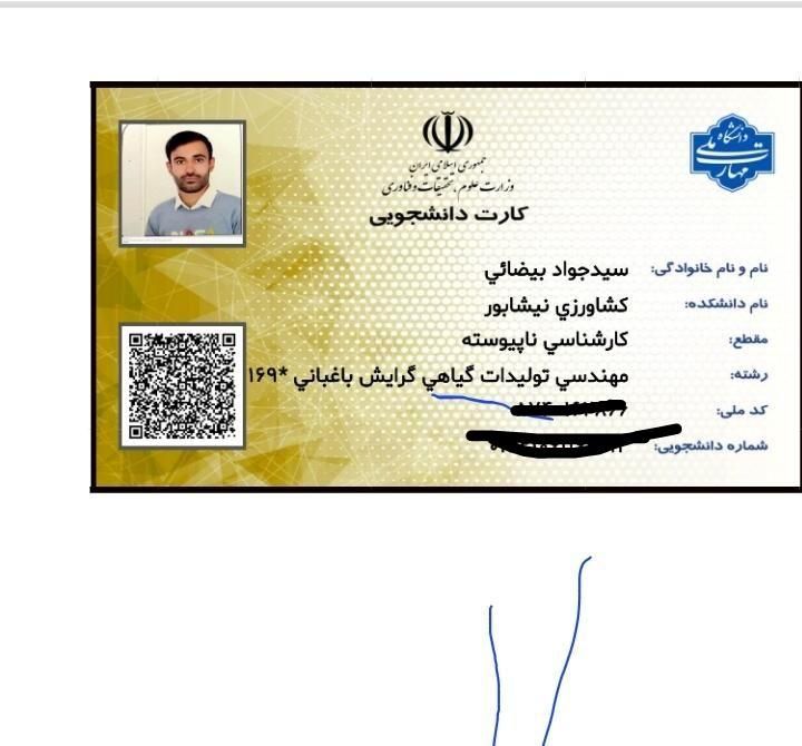 خدمات باغبانی|خدمات باغبانی و درختکاری|مشهد, توس فردوسی|دیوار