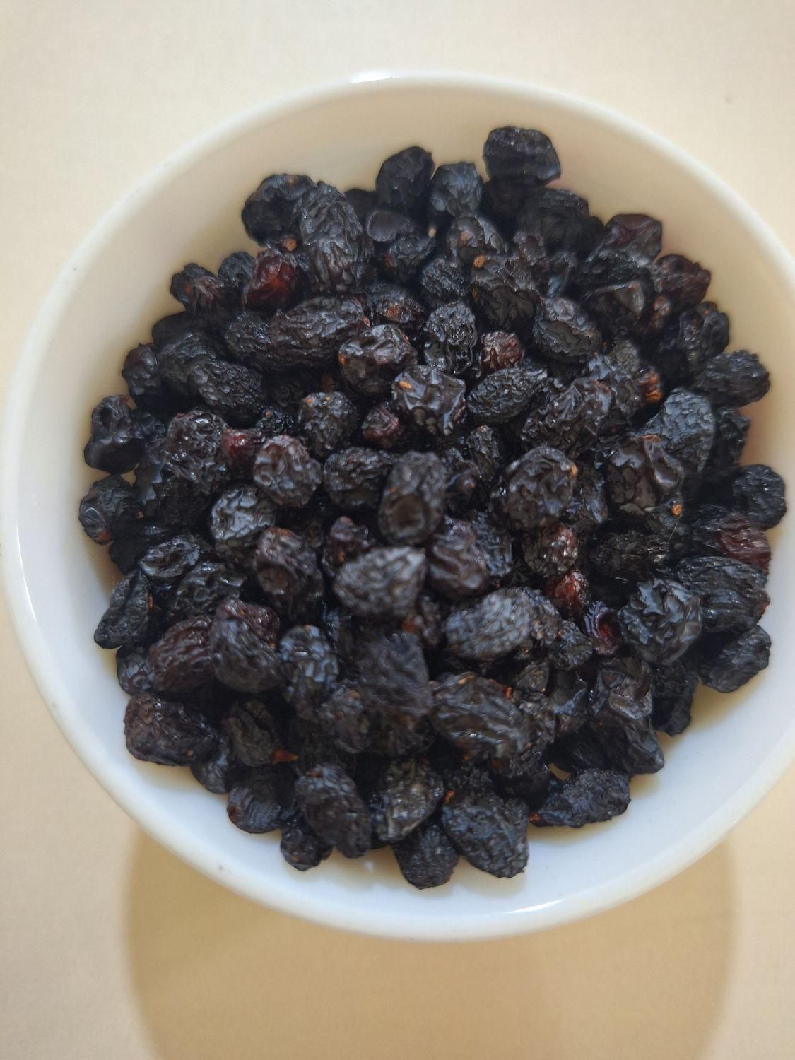 مویز ریز بدون هسته|خوردنی و آشامیدنی|قم, امامزاده ابراهیم|دیوار