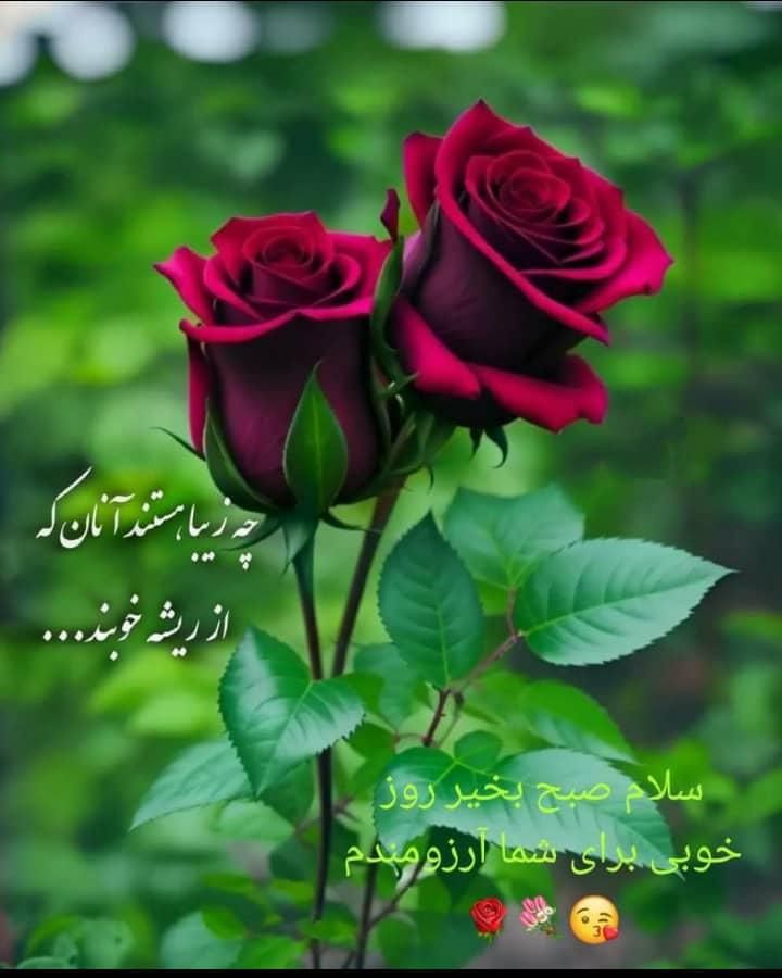 مشورت|فعالیت داوطلبانه|اصفهان, باغ زیار|دیوار