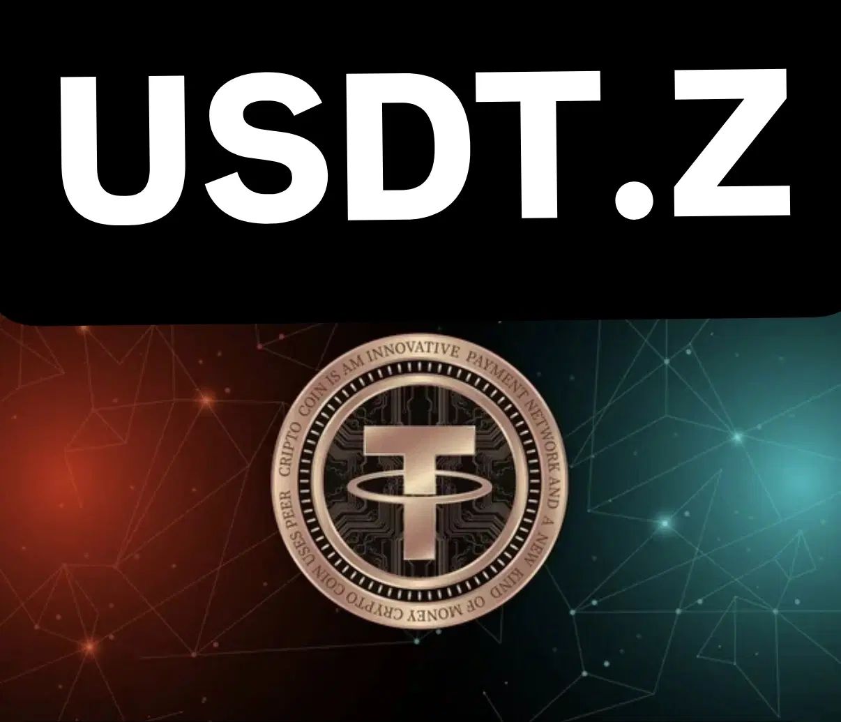 تتر فلش فقط USDT.Z|قطعات و لوازم جانبی رایانه|تهران, اکباتان|دیوار