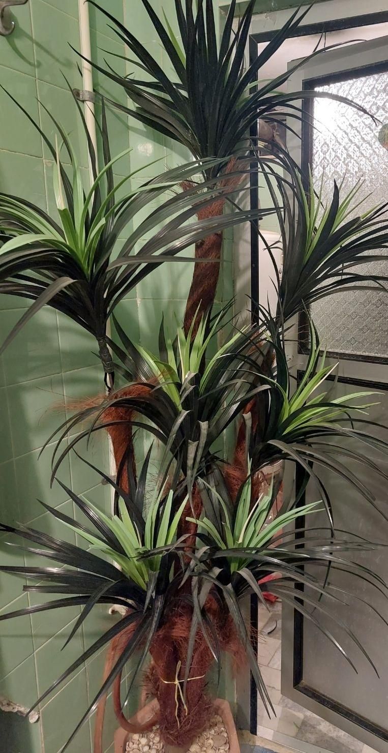 درخچه مصنوعی آناناس-آباژور-قاب تابلو|گل مصنوعی|قم, آزادگان|دیوار