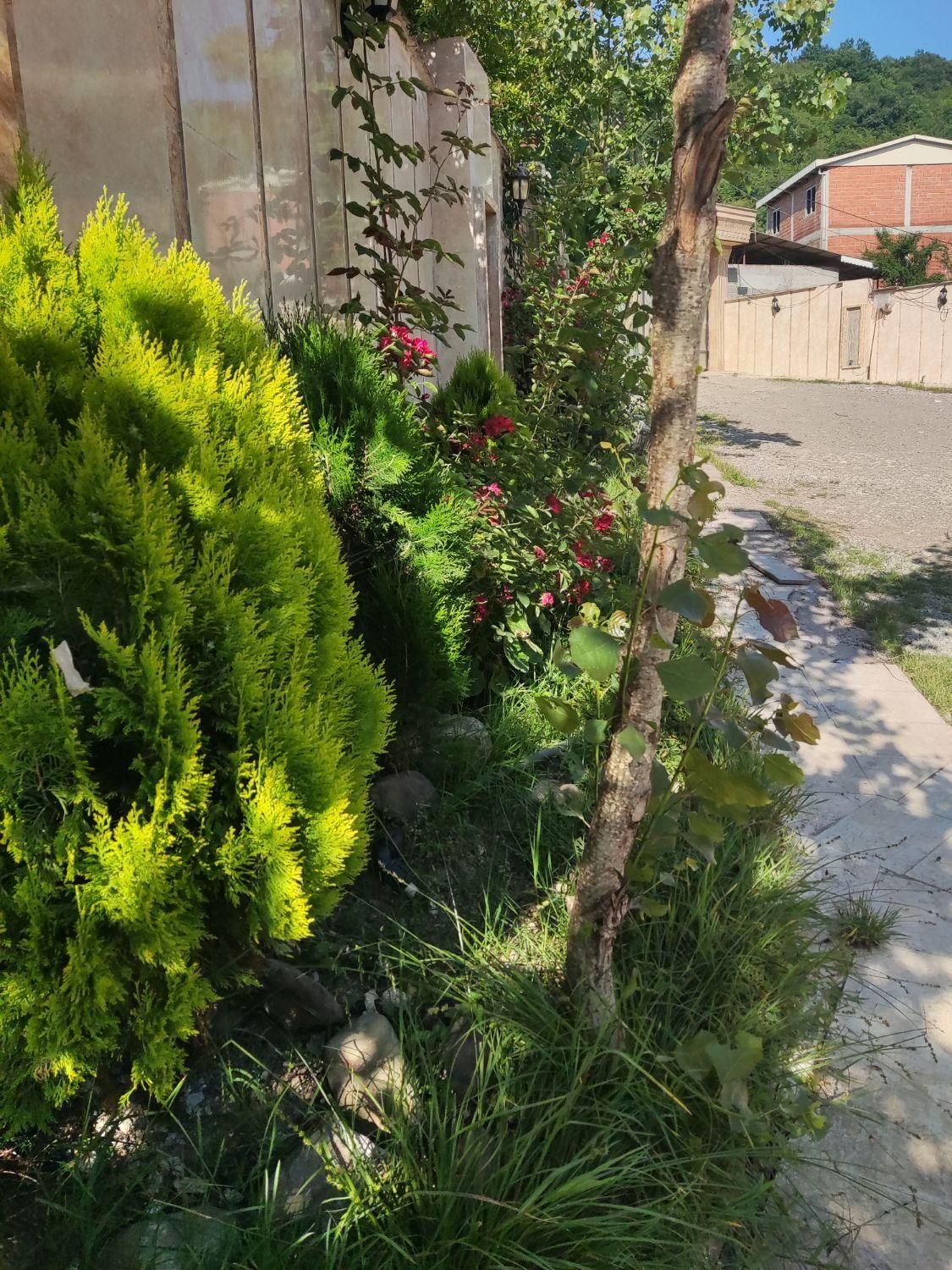 ویلا استخر دار مالک هستم|اجارهٔ کوتاهمدت ویلا و باغ|آستارا, |دیوار