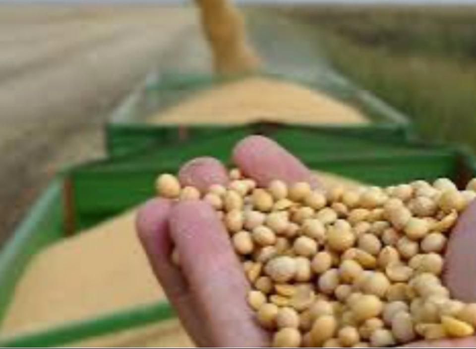 نیاز به شریک و سرمایه گذاری با بالاترین ضمانت|استخدام مالی، حسابداری، حقوقی|اصفهان, مفتح|دیوار