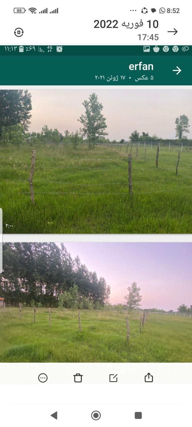 فروش زمین ۱۵۰۰ متری واقع درروستای نوخاله جعفری|فروش زمین و ملک کلنگی|تولم شهر, |دیوار