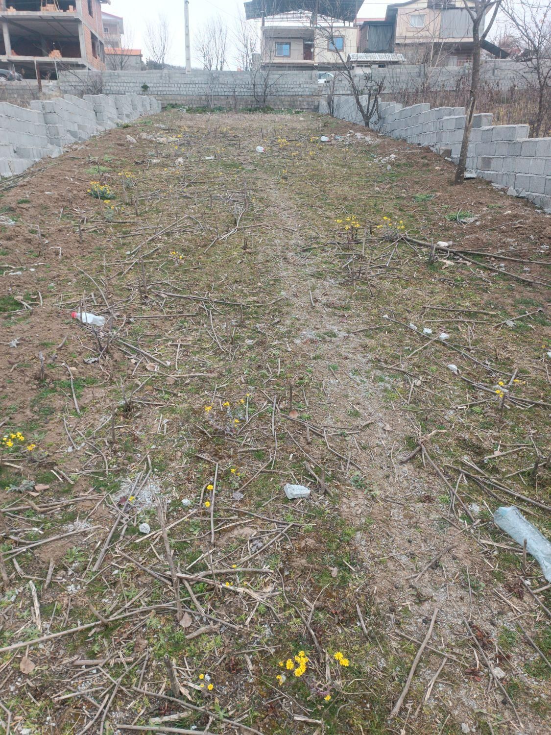 فروش زمین 356 متر مسکونی ویو ابدی روستای لولاک|فروش زمین و ملک کلنگی|زیرآب, |دیوار