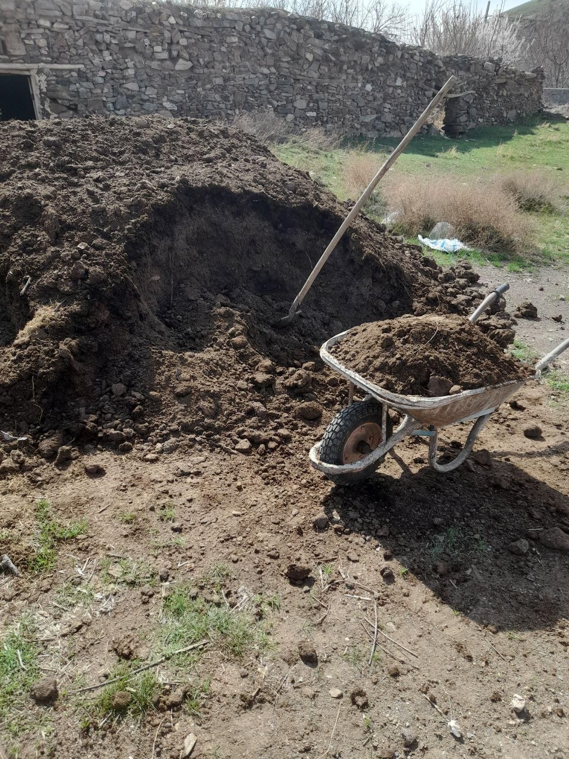 خدمات باغبانی . علف زنی .تیلر. سمپاشی. هرس|خدمات باغبانی و درختکاری|مشهد, کوی سیدی|دیوار