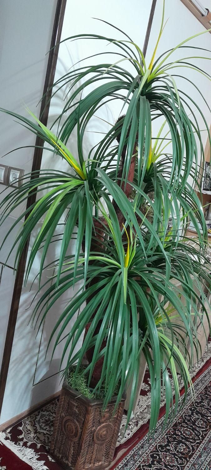 نخل مصنوعی|گل مصنوعی|قهدریجان, |دیوار