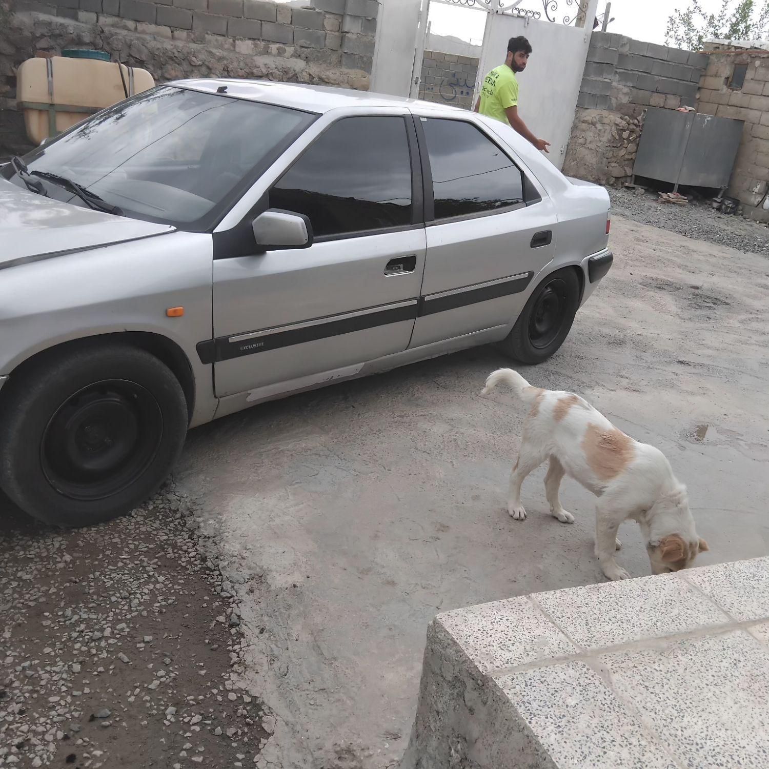 سیتروئن زانتیا 2000cc، مدل ۱۳۸۳|خودرو سواری و وانت|کرمانشاه, |دیوار