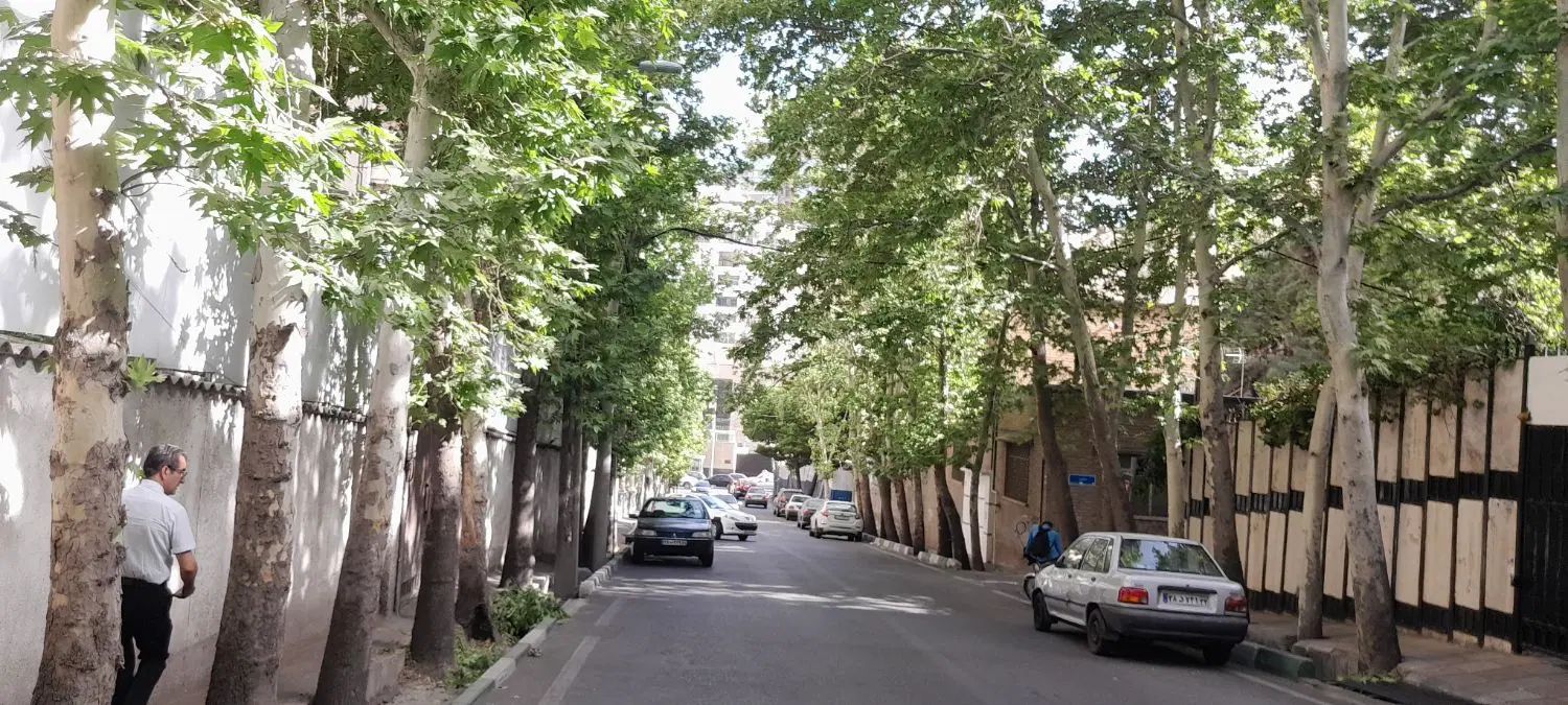 فرمانیه اندرزگو کلنگی ۵۰۰ متری|فروش زمین و ملک کلنگی|تهران, چیذر|دیوار