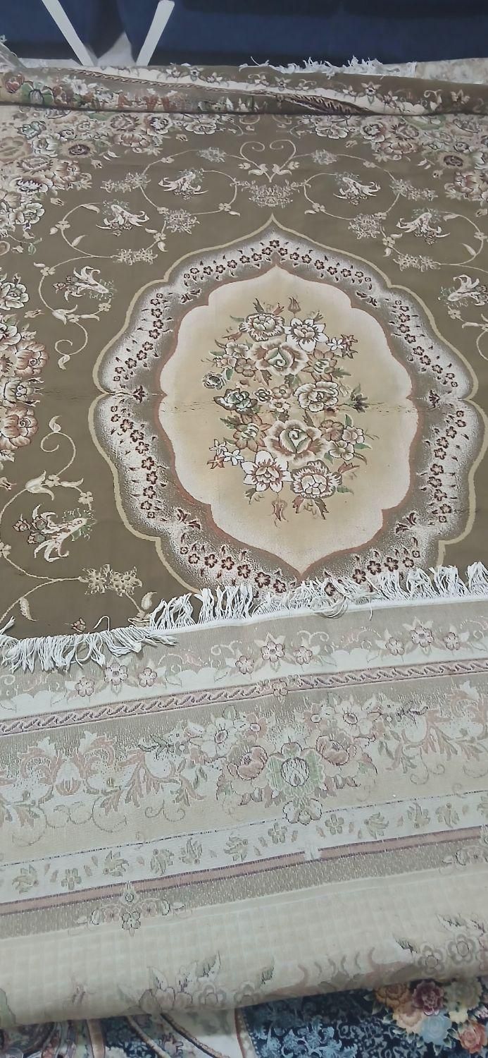 فرش ۱۲متری نو نو|فرش|گلستان (تهران), |دیوار