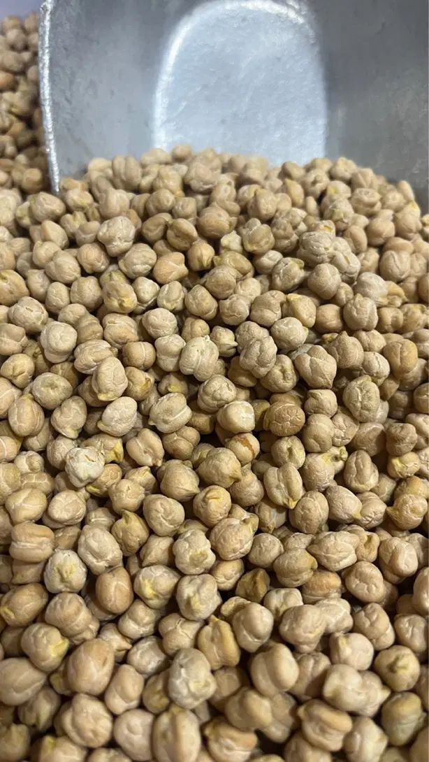 حبوبات|خوردنی و آشامیدنی|رشت, کوی فکوری|دیوار