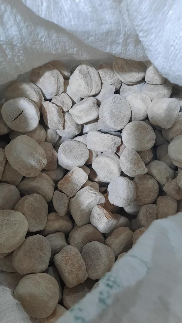 کشک بز|خوردنی و آشامیدنی|اندیمشک, |دیوار