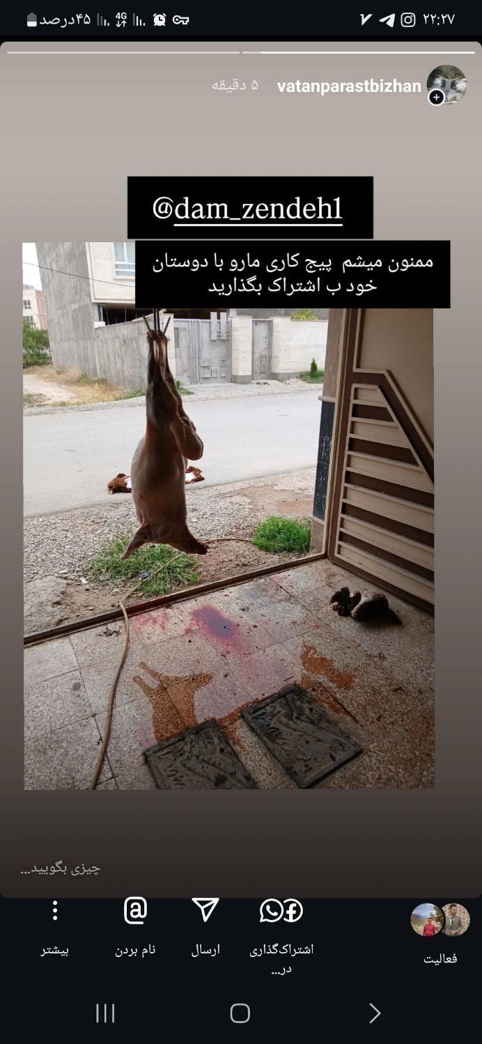 خرید دام زنده  از بازار دام و قصابی در محل|حیوانات مزرعه|بجنورد, |دیوار