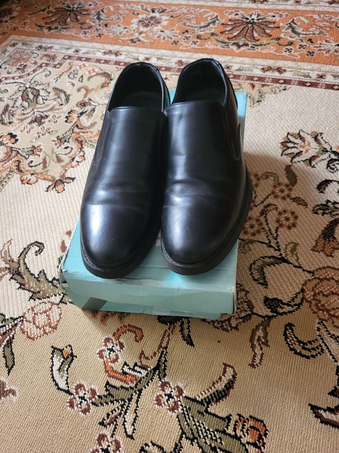 کفش مردانه مجلسی|کیف، کفش، کمربند|رامسر, |دیوار