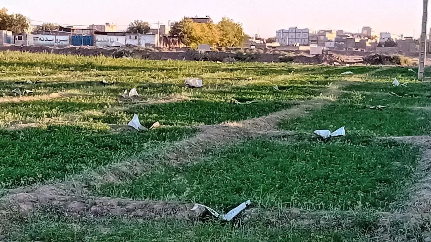 زمین کشاورزی در کریم آباد نزدیک بافت شهری|فروش دفتر صنعتی، کشاورزی، تجاری|مشهد, کریم آباد|دیوار