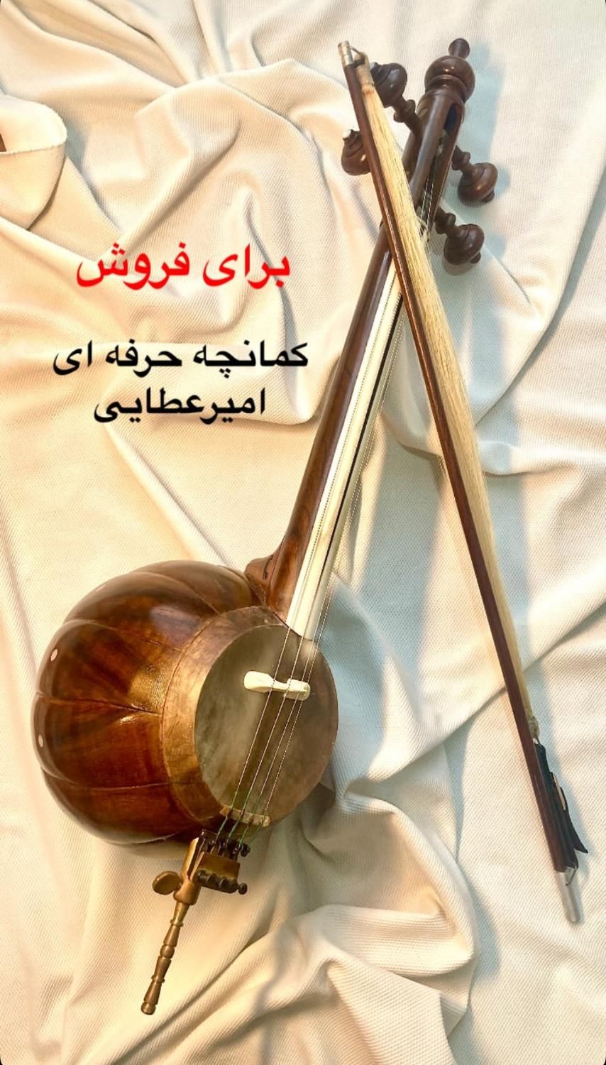 کمانچه حرفه ای داوود امیرعطایی|سازهای سنتی|اصفهان, باغ فردوس|دیوار