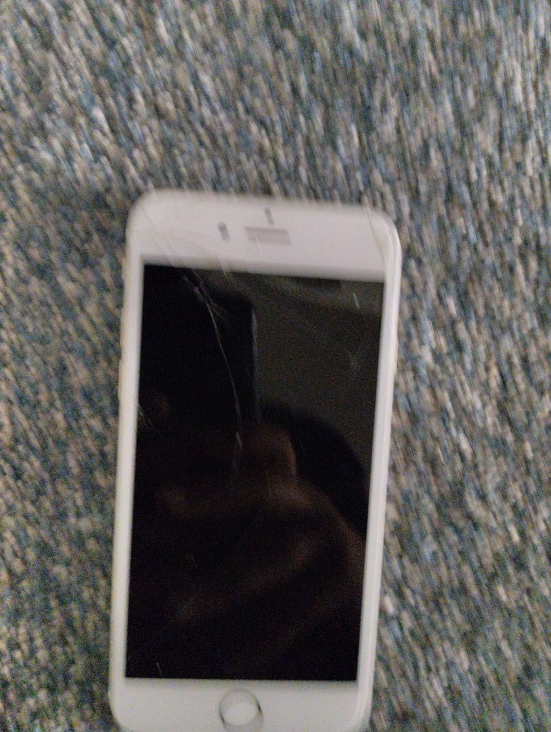 اپل iPhone 6 با حافظهٔ ۱۶ گیگابایت|موبایل|شوش, |دیوار
