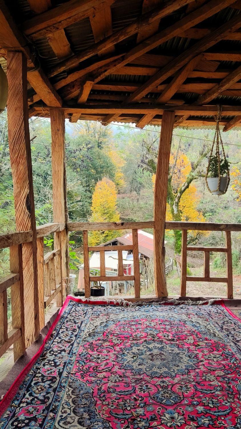 اجاره کلبه جنگلی|اجارهٔ کوتاهمدت ویلا و باغ|املش, |دیوار