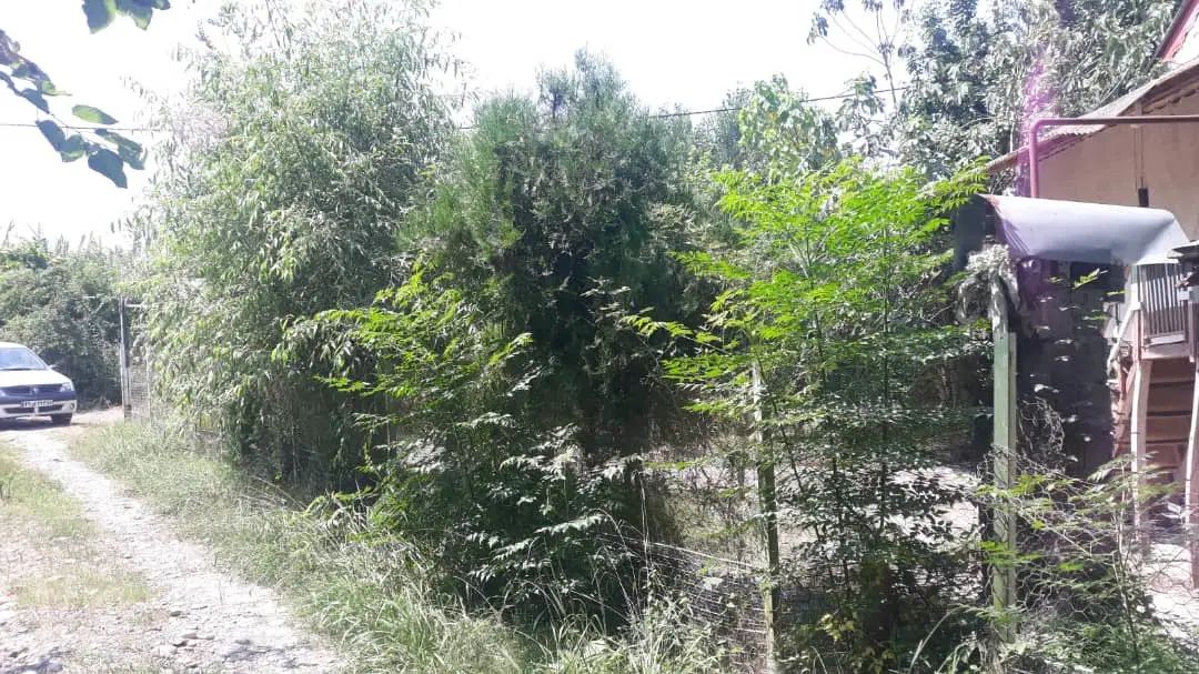 خانه روستایی۳۳۰زمین۷۰بنا کوچصفهان لولمان|فروش خانه و ویلا|رشت, پل تالشان|دیوار