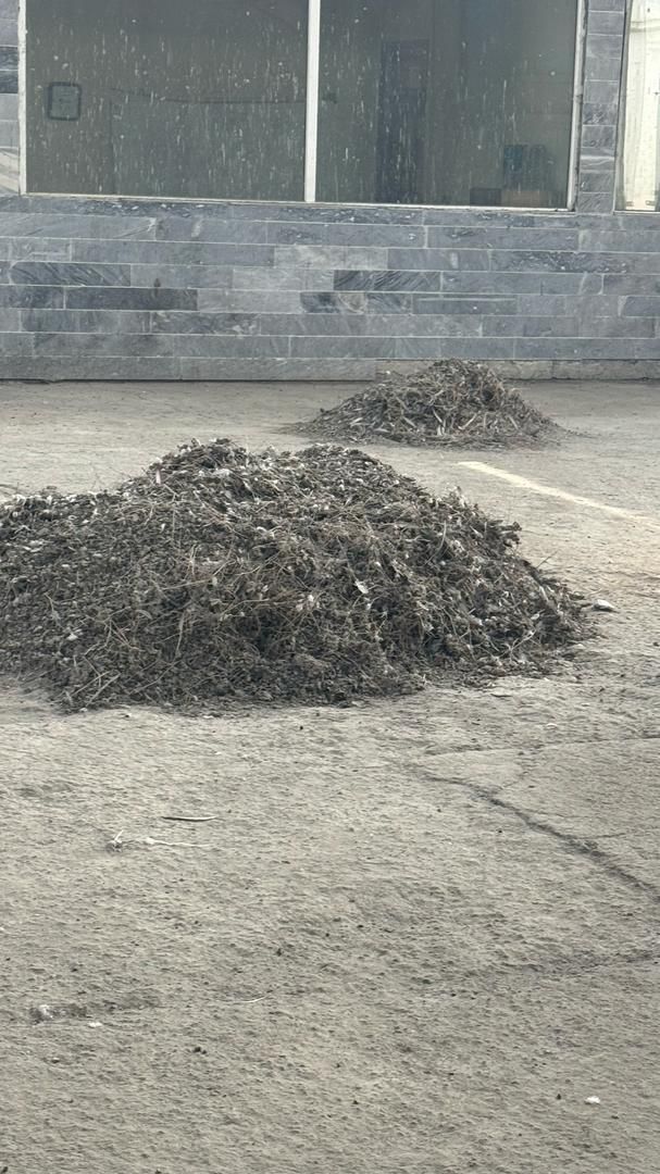 اراک شیروانی کارا کود کفتر ی خرید و جم میکنیم|خدمات باغبانی و درختکاری|اراک, |دیوار