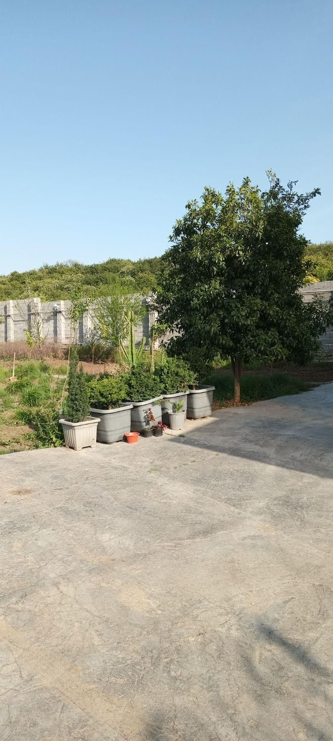 سوئیت ویلایی کوتاه مدت ، پارکینگ ، بخاری ، کولر|اجارهٔ کوتاه‌مدت ویلا و باغ|قائم‌شهر, |دیوار