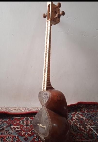 تار تک مهر سالاری ، سازی مناسب آموزش|سازهای سنتی|تاکستان, |دیوار