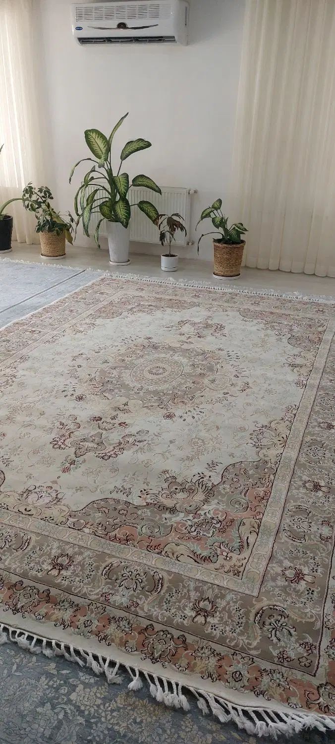 یک جفت فرش ۹ متری همراه کناره ،قالی سلیمان|فرش|بندر ترکمن, |دیوار