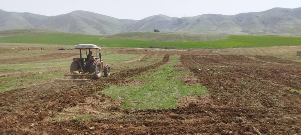 زمین کشاورزی قسطی|فروش دفتر صنعتی، کشاورزی، تجاری|سنندج, |دیوار