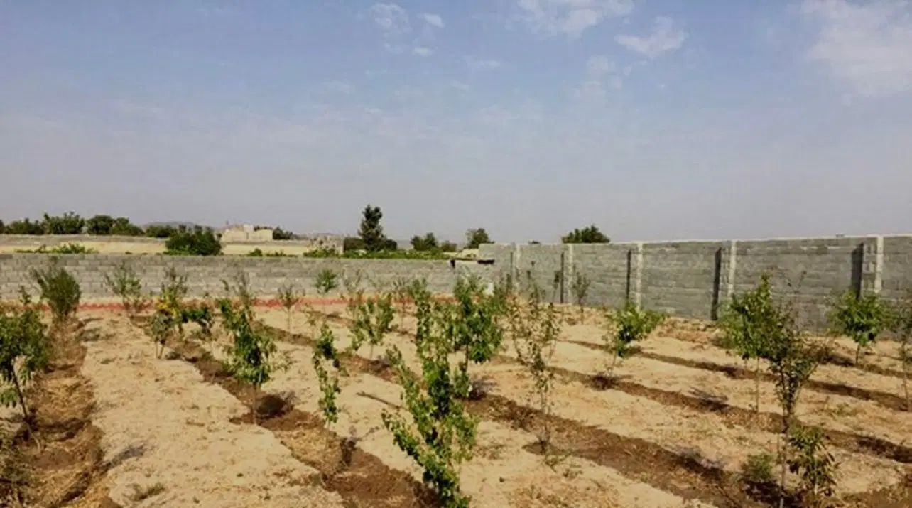 ۱۲۰۰ زمین دیوار کشی شده معاوضه هم دارم با ماشین|فروش زمین و ملک کلنگی|پیر بکران, |دیوار