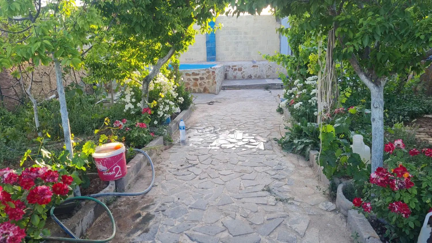 باغ۳۰۰متری زیر قیمت|فروش دفتر صنعتی، کشاورزی، تجاری|مشهد, گنبدواز|دیوار